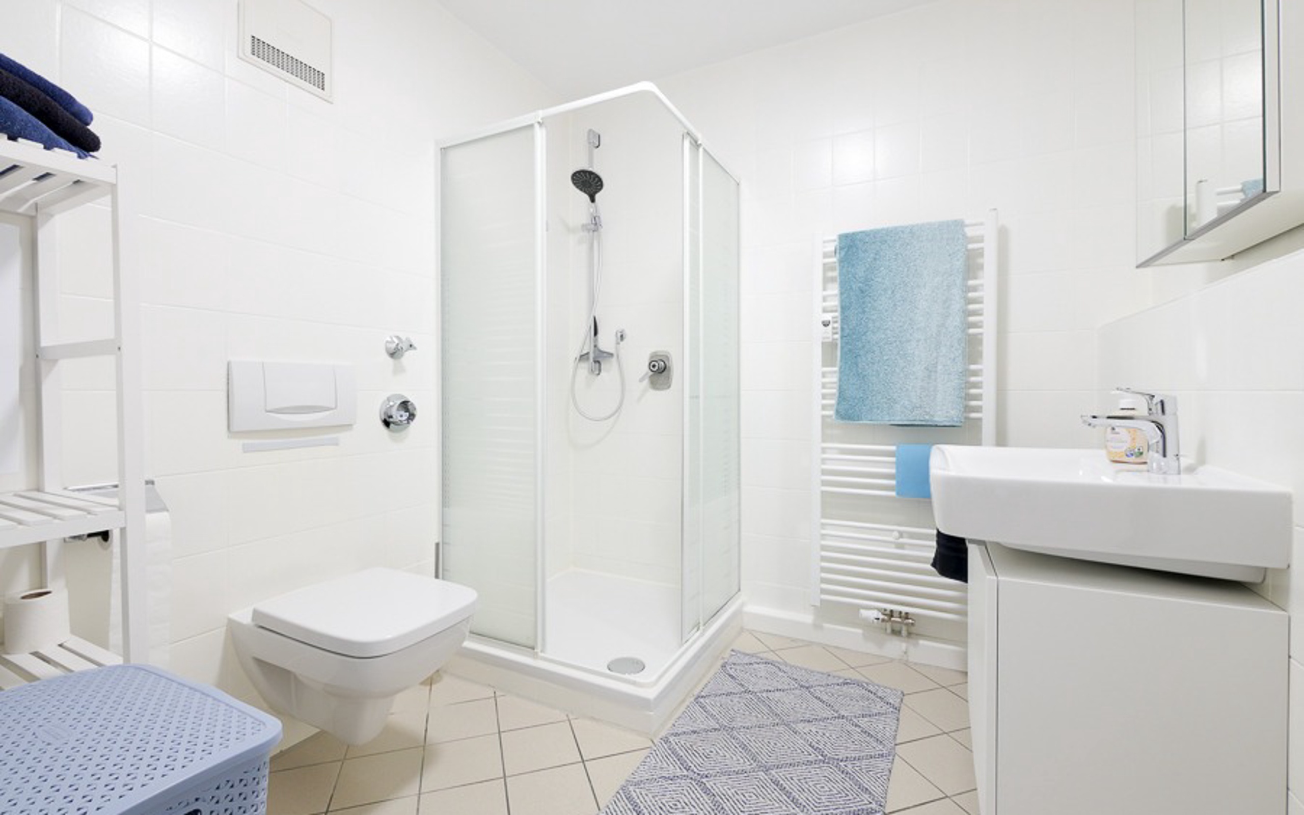 Bad mit Dusche und WC in der Wohnung Holzgerlingen